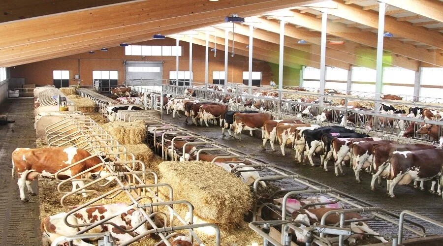 640.webp (70).jpg 640.webp (70).jpg