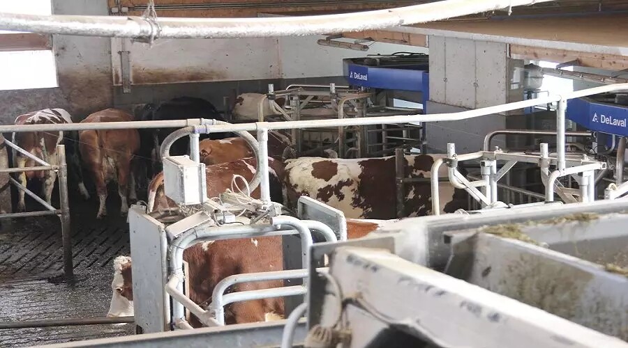 640.webp (71).jpg 640.webp (71).jpg