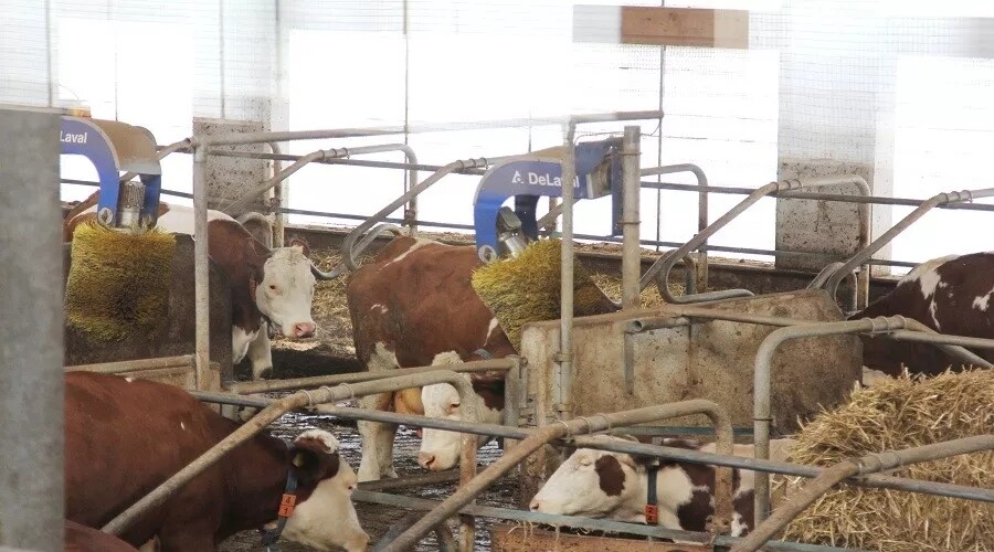 640.webp (72).jpg 640.webp (72).jpg