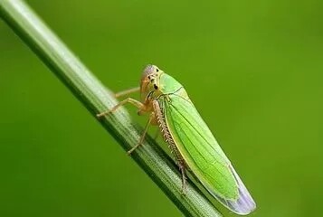 640.webp (11).jpg