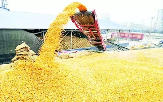 640.webp.jpg 640.webp.jpg