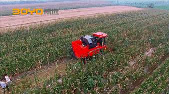 640 (1).gif