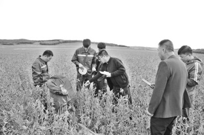 秸秆炭化还田滋养黑土地——黑龙江、内蒙古施用生物炭基肥改良土壤观察.jpg