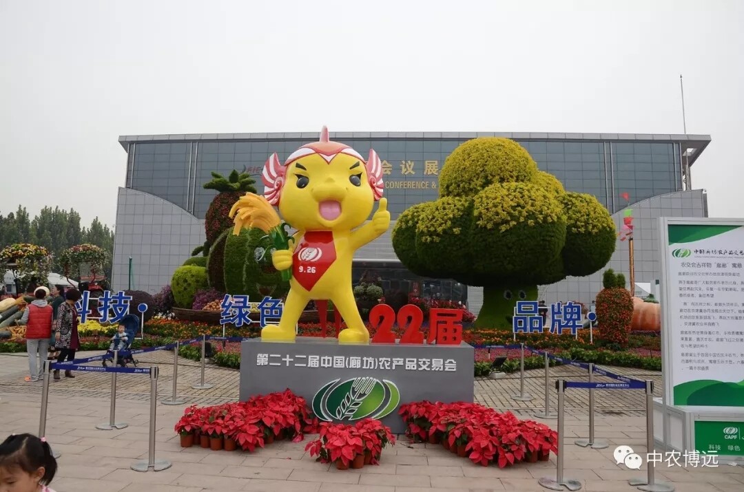 640.webp (11).jpg