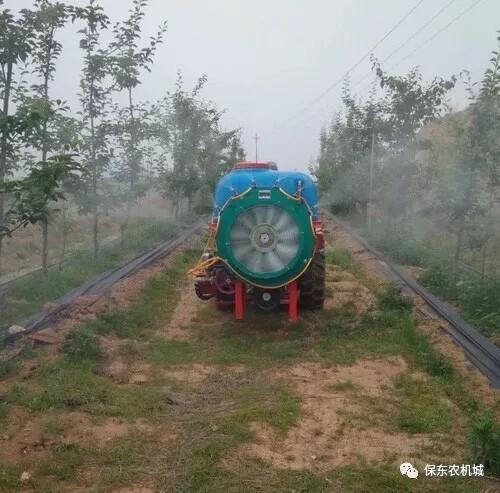 果园喷药需要注意什么？果园喷施农药注意要点