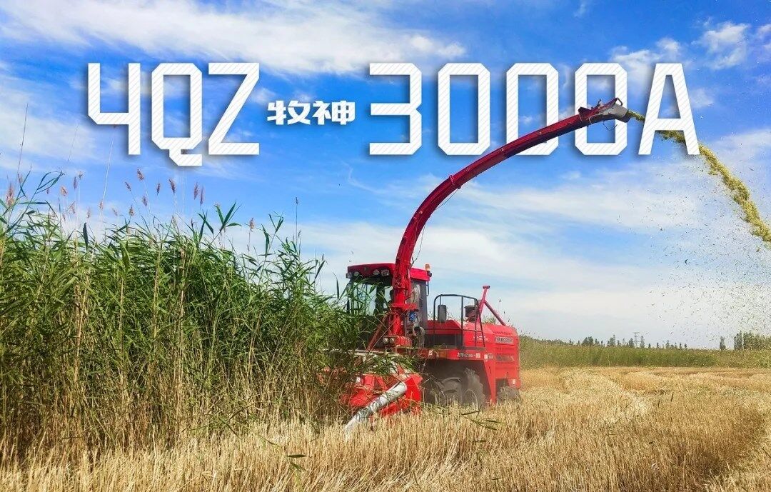 牧神4QZ-3000A换装矮割台，矮杆倒伏作物也能轻松收获