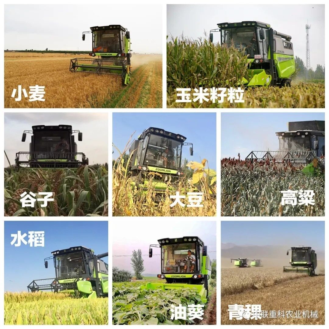小麦、玉米与杂粮兼收，中联重科TE90收割机开拓丰收路！