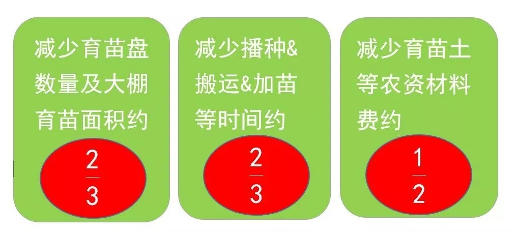 640 (5).webp (2).jpg