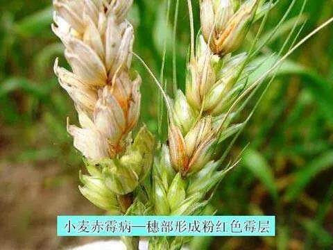 微信图片_20190419152406.jpg