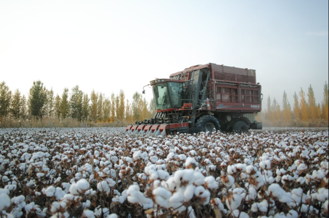 凯斯CaseIH：轻柔呵护 “净”在指尖 