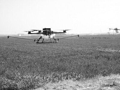 p60_b.jpg