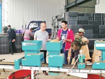 安徽潜山工厂化育秧助增收.jpg