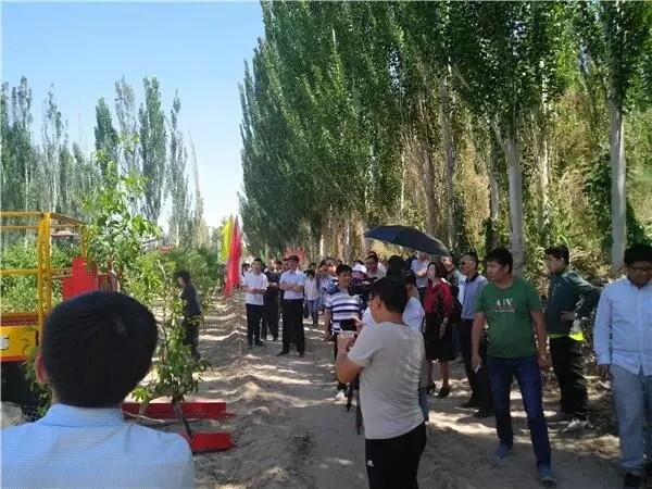 中农博远：新疆特色农业发展，如何摆脱人工种植采收？