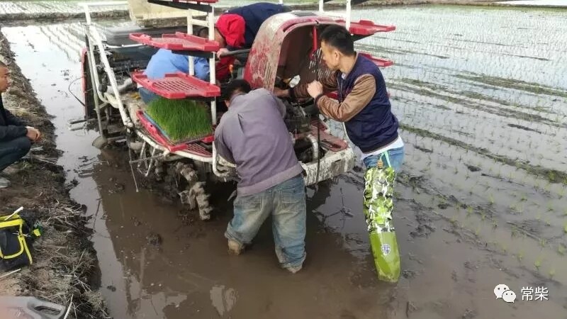 历经鏖战，常柴东北插秧农忙服务圆满收官