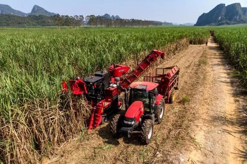 凯斯CaseIH A4000甘蔗收获机——我的优秀，超出你的想象