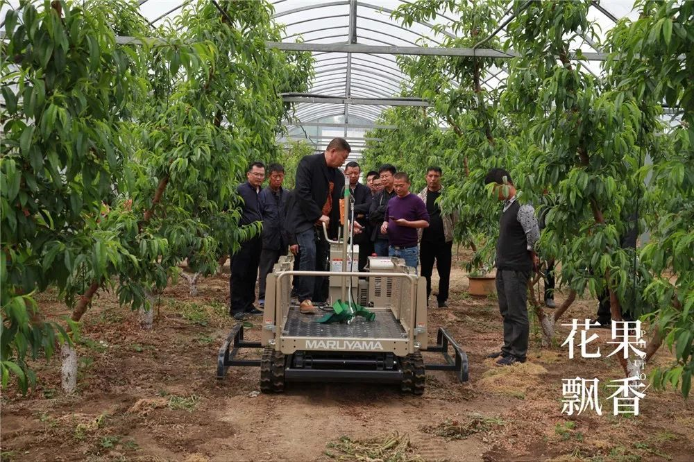 我们为什么用不起果园机械，除了穷，还有其他原因吗？ 