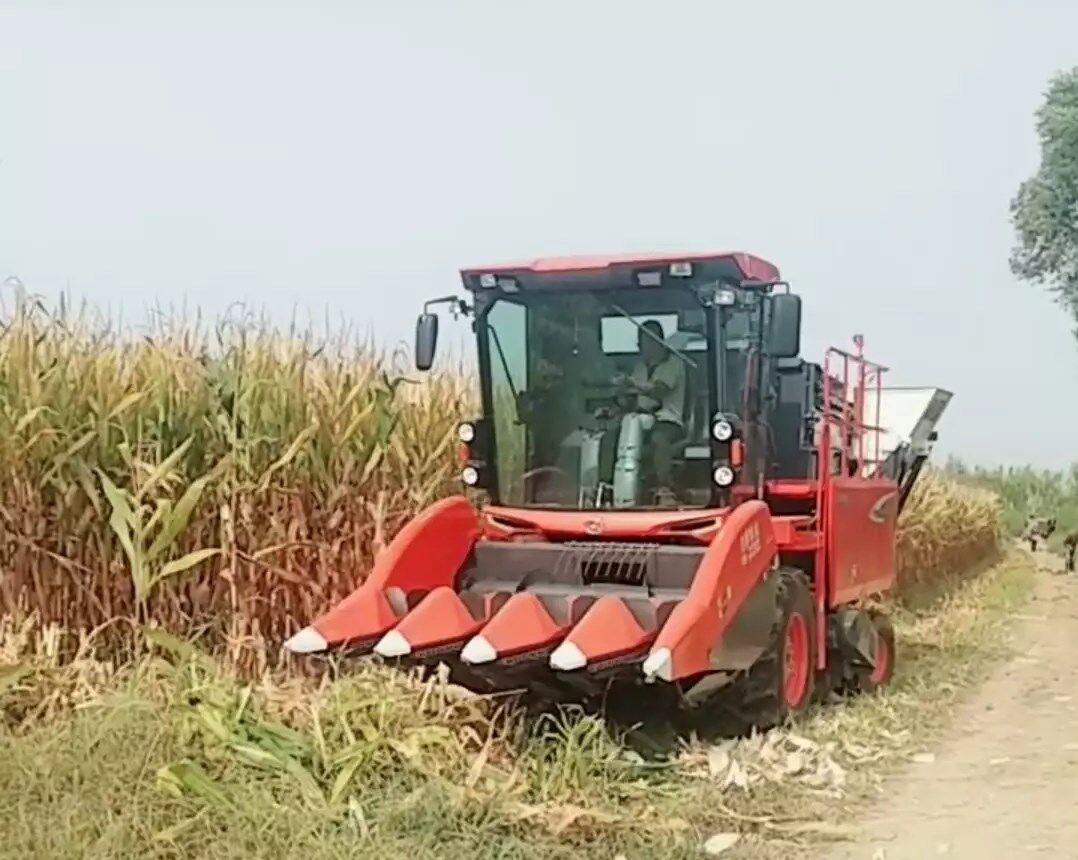 陈凯浩：我与久保田玉米收割机PRO1408Y-4的故事