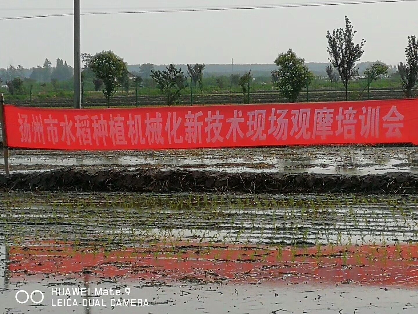 水稻种植机械化新技术现场观摩会：苏州久富尽显领跑者风采