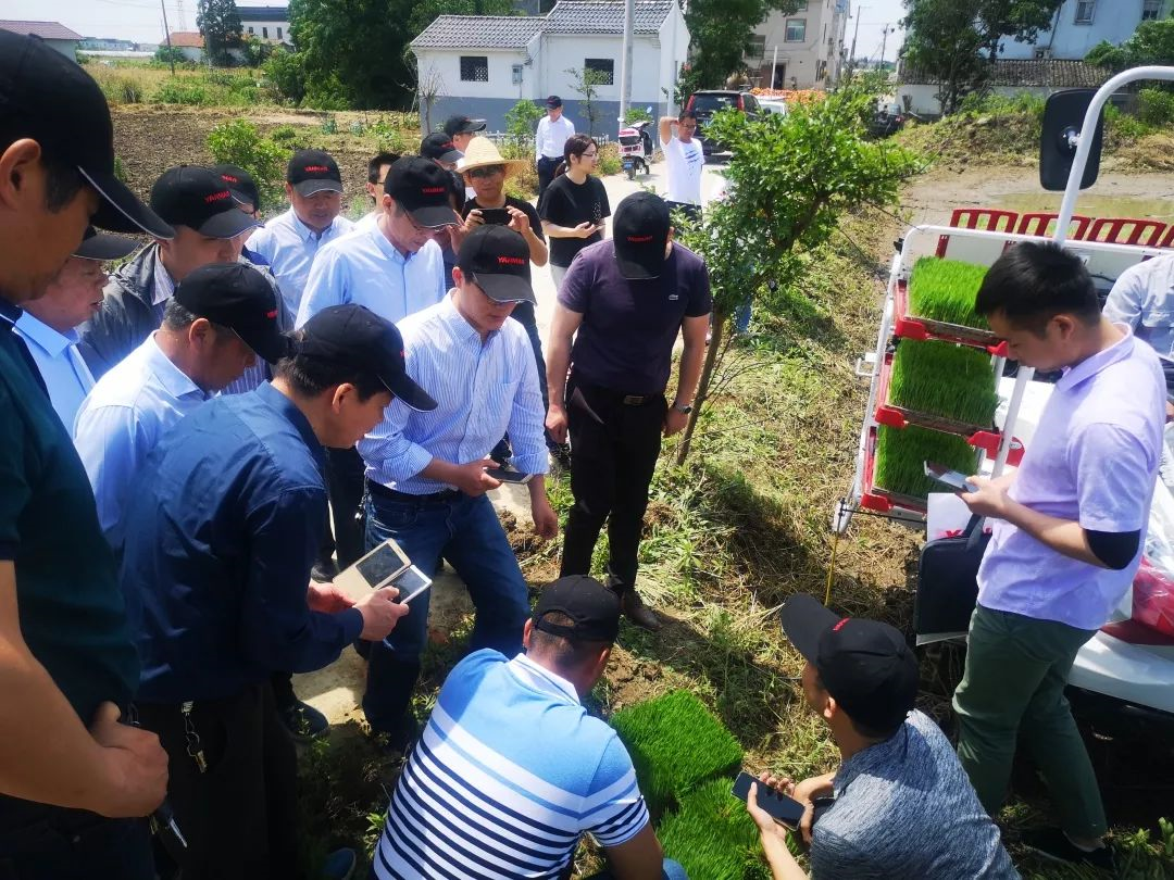 江苏省全面推进水稻插秧机新技术——插秧节本增效 