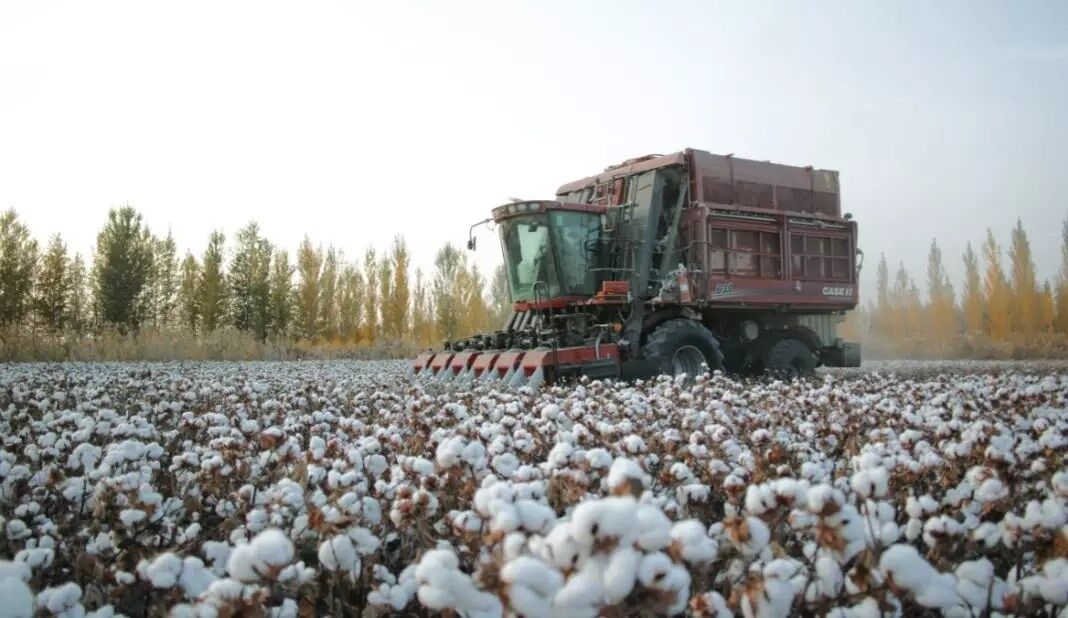 凯斯CaseIH Cotton Express 630采棉机：关于TA，你了解的够多么？
