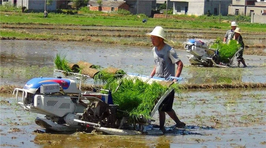 插秧机行业格局能否重构？国产品牌超越外资品牌 