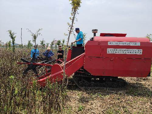 农业部南京农业机械化研究所：蚕豆专用联合收割机研发成功