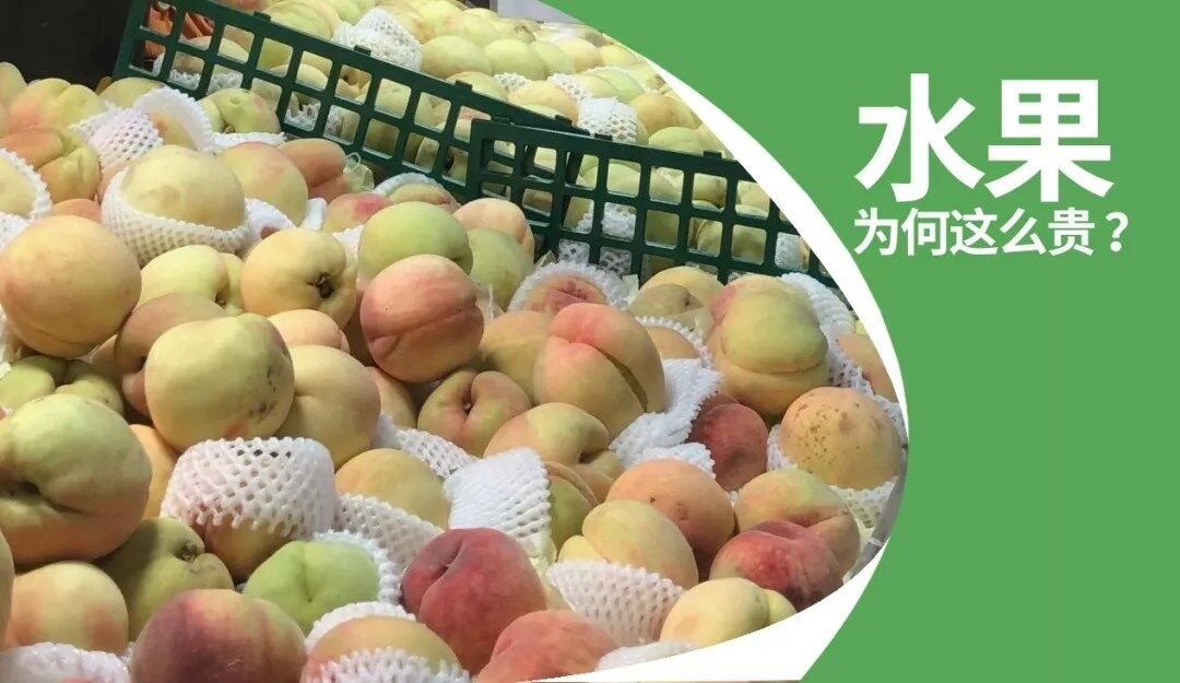 来自农机人的反思：如何让普通老百姓都吃得起水果？