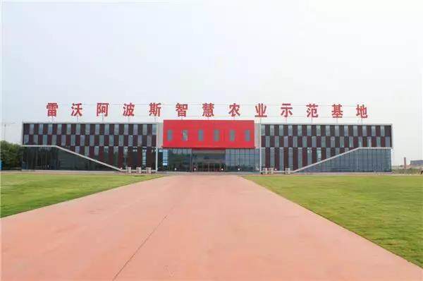农事新看 雷沃阿波斯“无人农场” 是这样耕种的