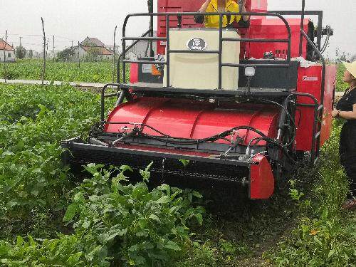 农业部南京农业机械化研究所“4GQD-160多行自走式鲜食青大豆收获机”研制成功