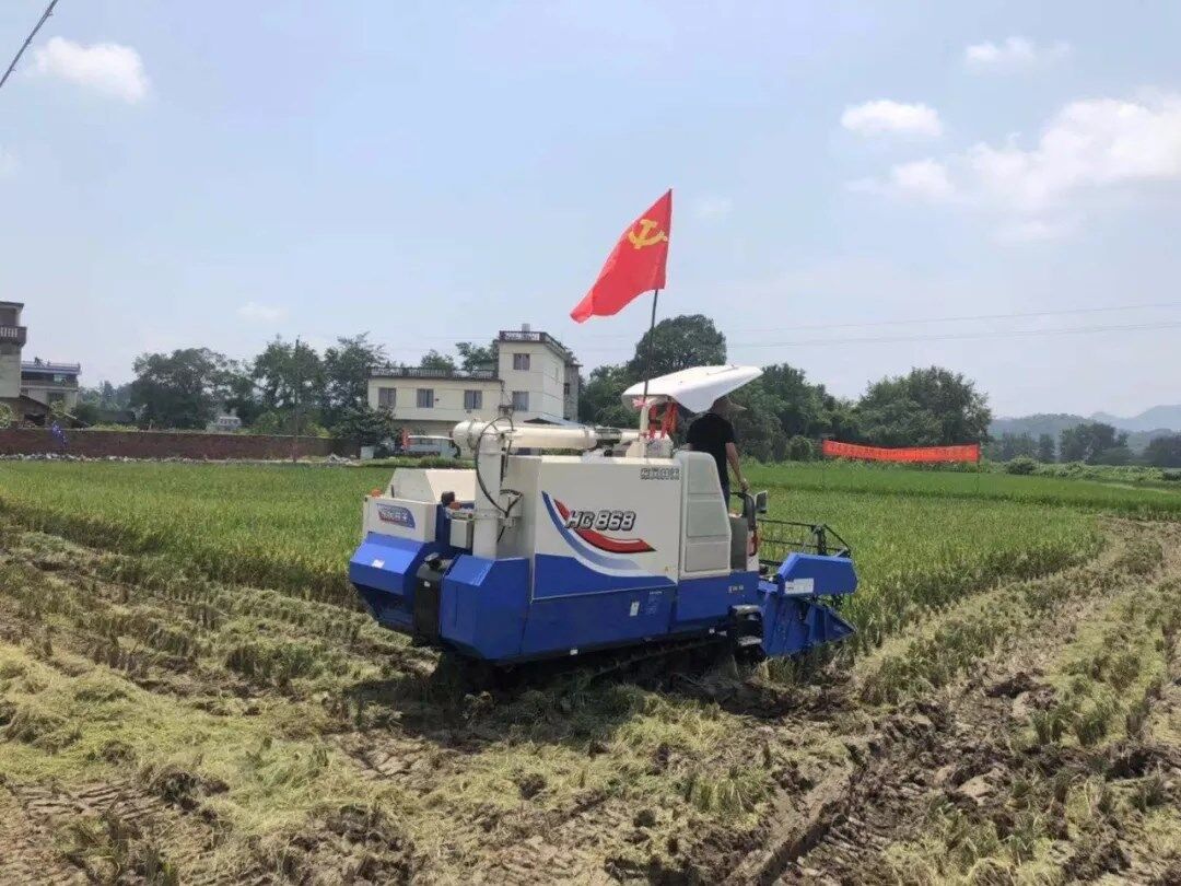 “撒粮少、清选干净、杂质少！”东风井关HC868G全喂入收割机再次圈粉