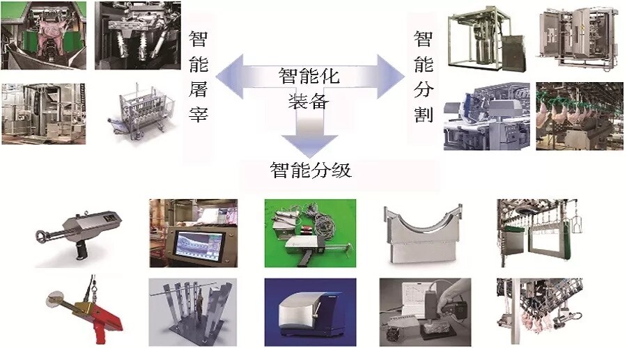 国内畜禽加工装备与发达国家差距较大，如何提高智能化水平？
