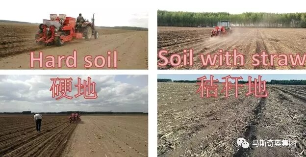 马斯奇奥MTR No-Till牵引式免耕精量播种机2019年播种长势报告