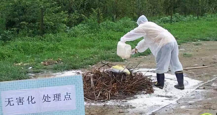 微信图片_20190908090519.jpg