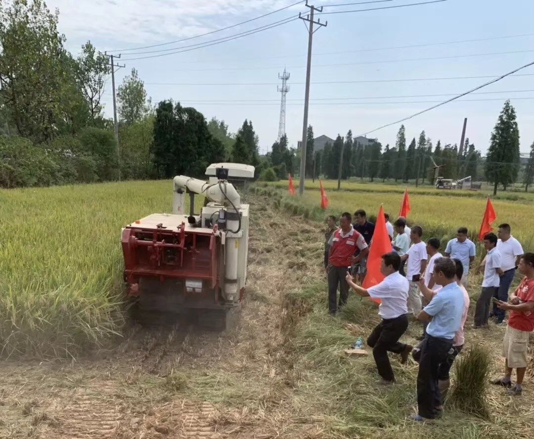 沃得农机半喂入收割打捆一体机助力秸秆综合利用现场演示会圆满召开！