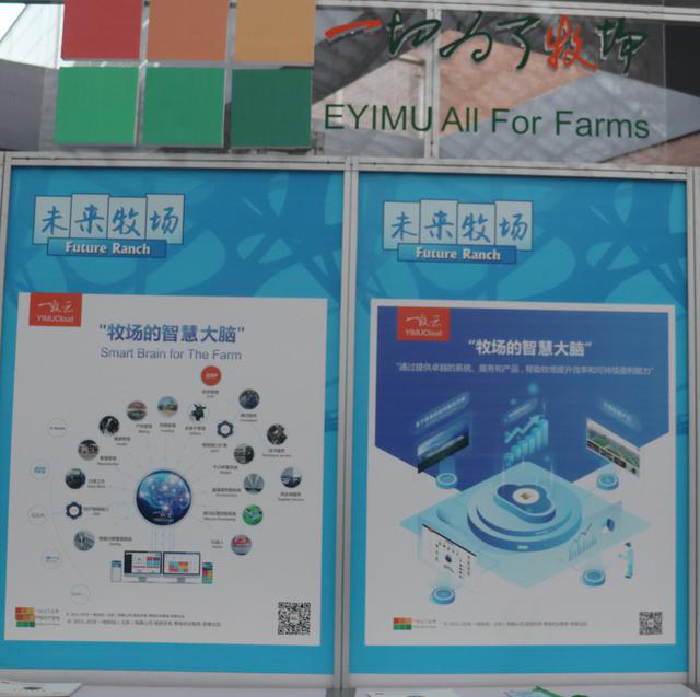 图片5.png