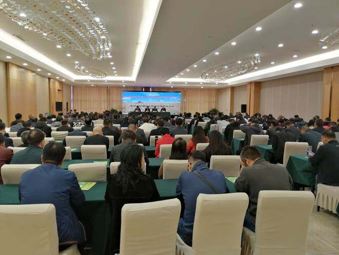 说明: C:\Users\指导处\AppData\Local\Temp\WeChat Files\63eaa7dc9d0ccd5509bd5fdd7482710.jpg