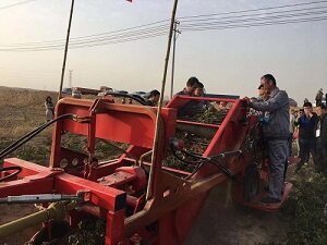 微信图片_201910301807129.jpg