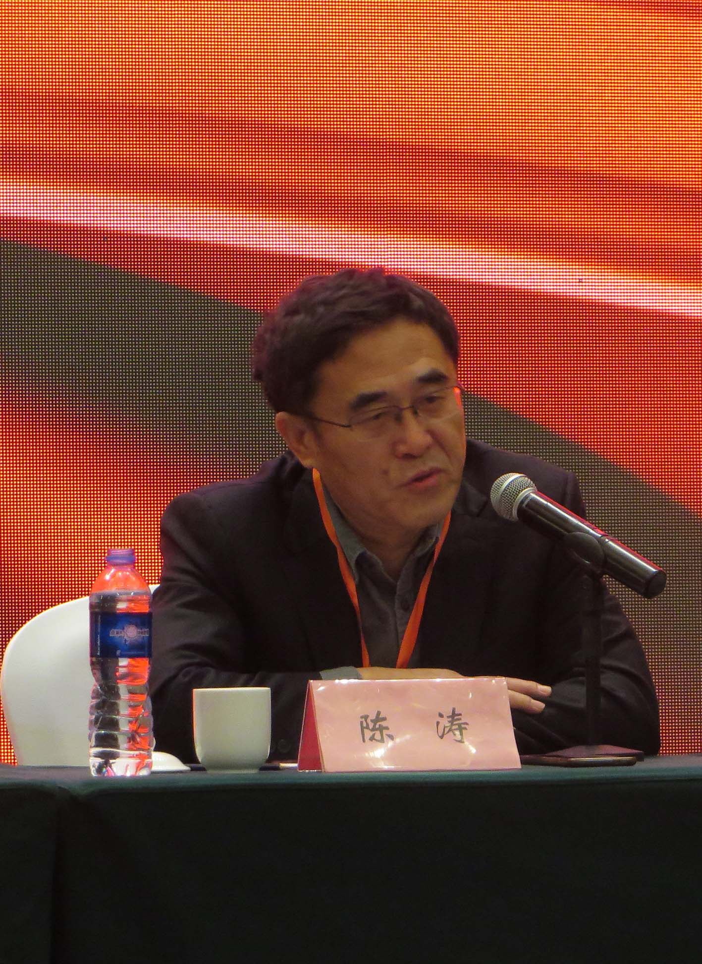 2陈涛发言.JPG