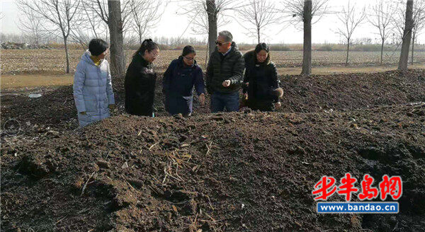 青岛市农机中心发挥平台优势 打造循环农业发展新模式