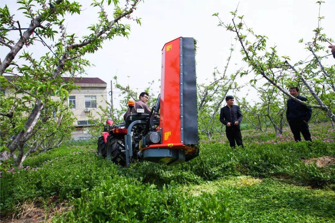 微信图片_20200106211531.jpg