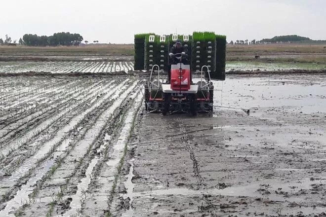 力推农业“三减”！黑龙江多项水稻机械化技术示范效应杠杠的！