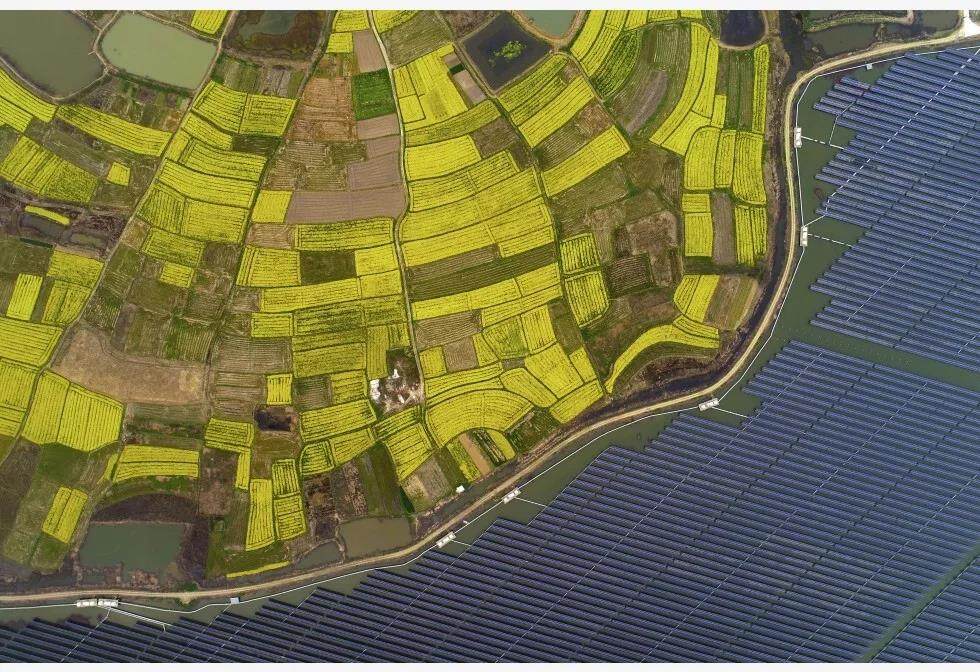 一号文件解读②曾衍德 ：大力发展乡村产业 助力全面建成小康社会