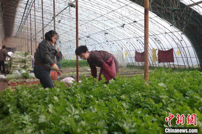 疫情防控不放松 中国北方抢抓农时备耕忙