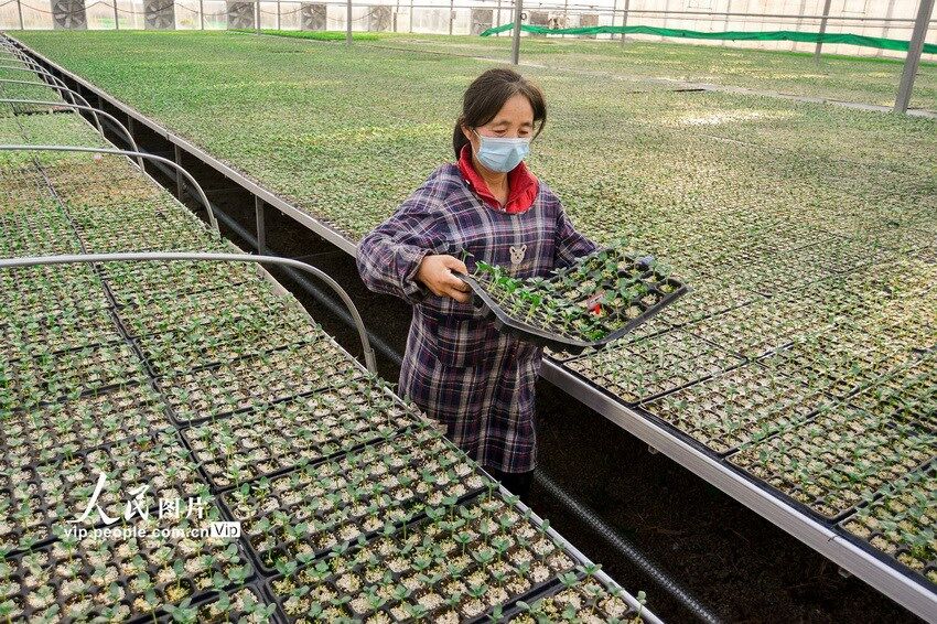春耕备耕物资供应充足 为春季农业生产顺利推进夯实基础