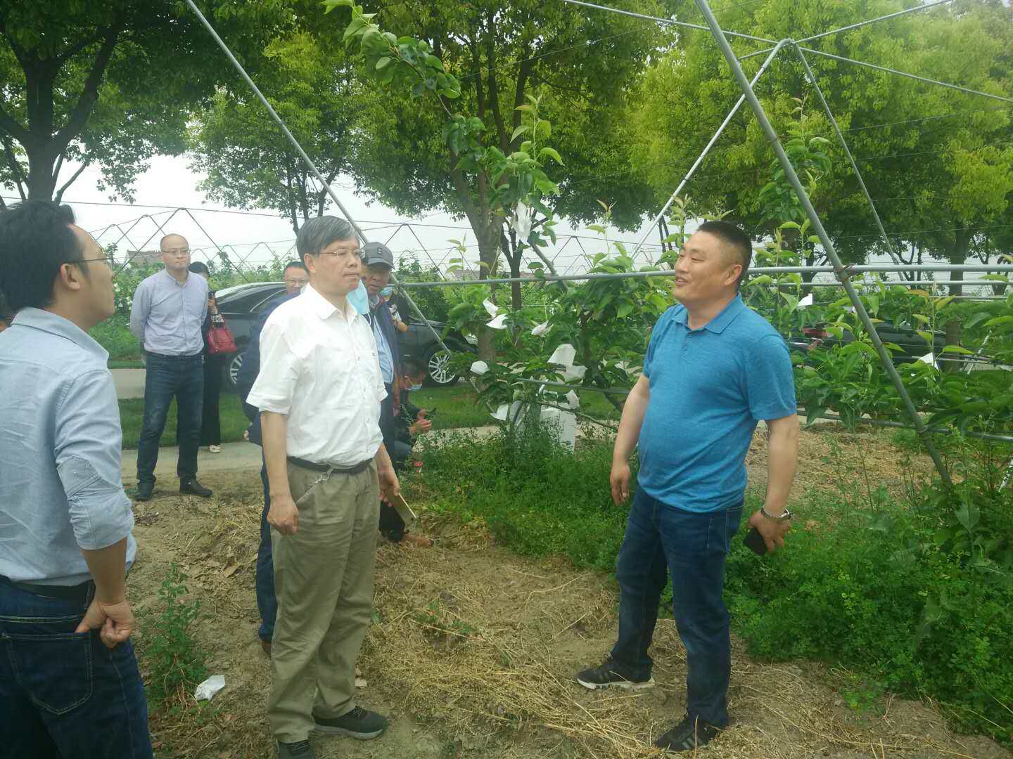 江苏“果园自动化避障割草装备技术引进试验”项目启动会在泰兴召开