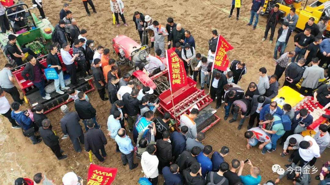 农机地头展| 全国大蒜生产全程机械化现场会在金乡县举行