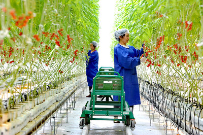 2020年优势特色产业集群建设名单公示公告