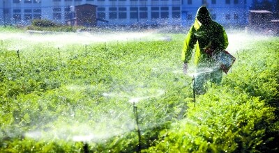 一季度农业农村经济运行总体平稳
