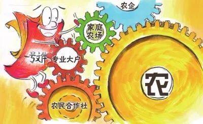 引导农民合作社向高质量发展轨道迈进