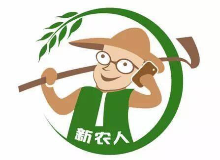 以主体多元发展和服务方式创新为重点，推进社会化服务高质量发展